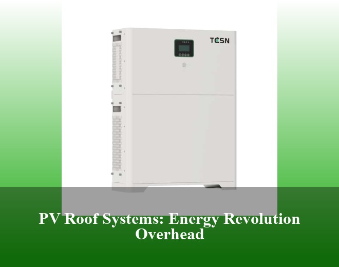 PV Roof Systems: Energy Revolution Overhead